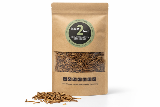 Getrocknete Mehlwurmlarven