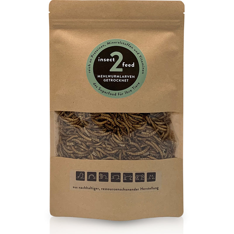 Wieso Insect 2 Feed?